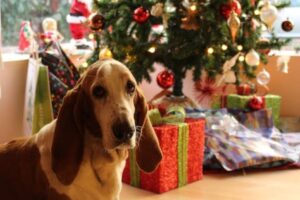 Dog Proof a Christmas Tree